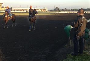 Dr Gary Swift out at Rosehill trackwork